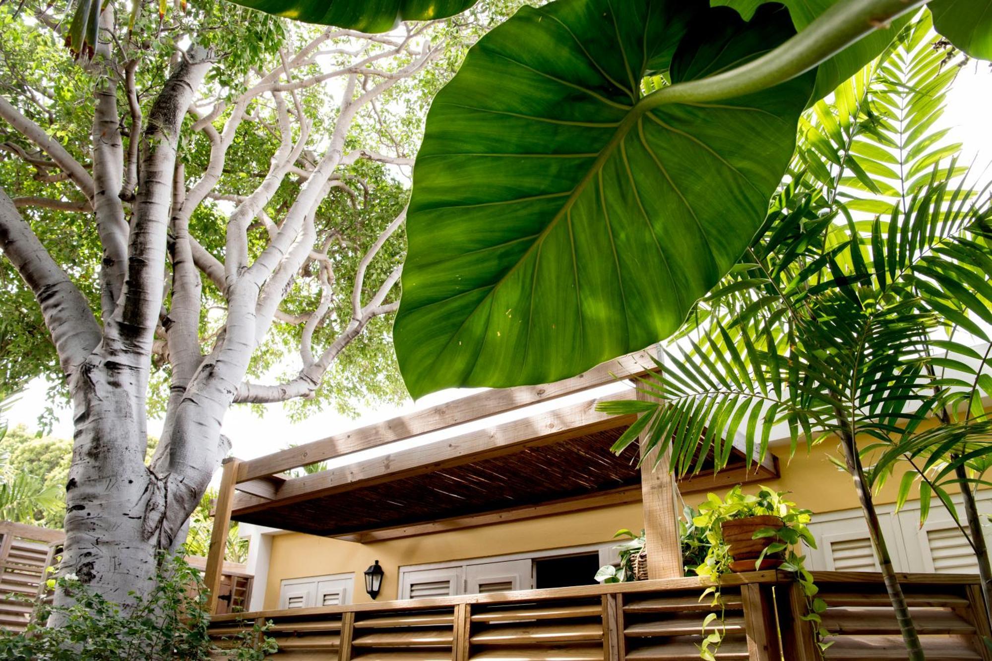 شقة Curacao Gardens يلمستاد الغرفة الصورة